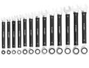 LB0185-4.jpg
