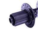 LT0068-3.jpg