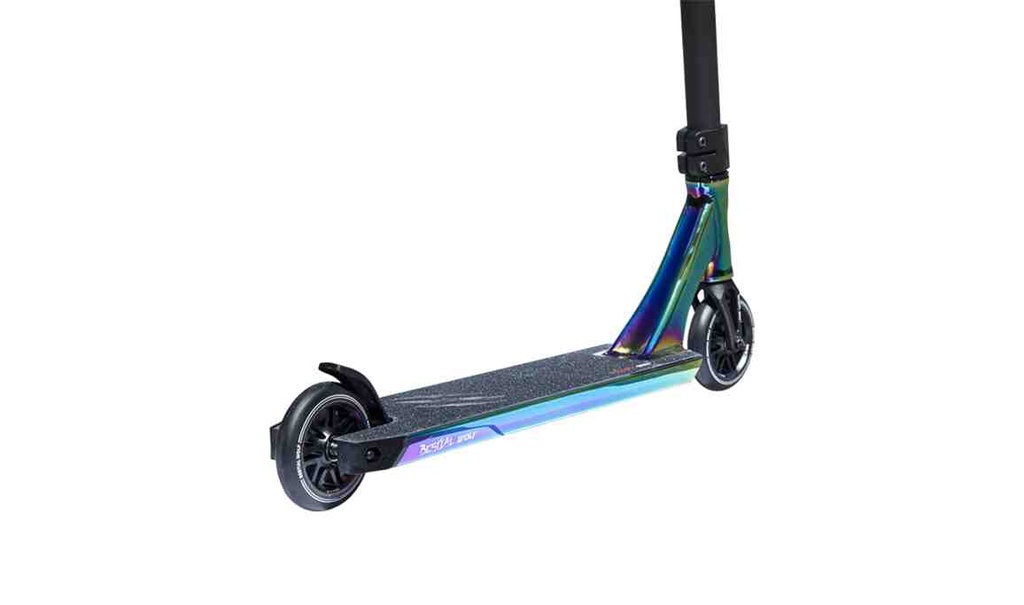 ROC12R-3.jpg