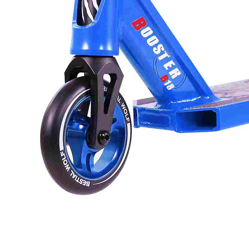BOSTE18B_02.jpg