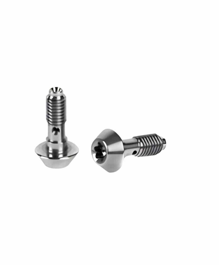Tornillo racor de Banjo, Magura (Bolsa 2x)