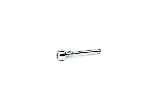 [E2017181] Tornillo pasador Elvedes M4x22 fijación pastillas de freno Avid Elixir 5/7/9 (10x)