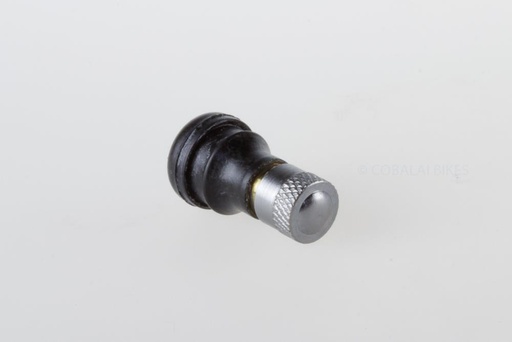 [187881] _Válvula tubeless Xiaomi (para neumático 187957 y 187945)   (10% Dto +20 unid.)